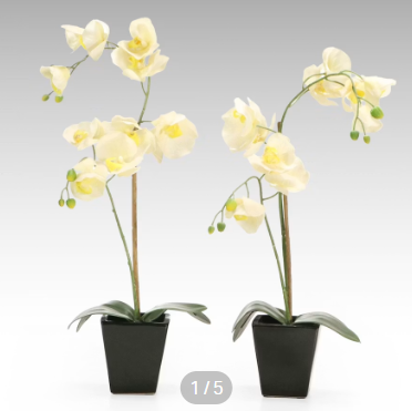 Item #972 Artificial Phalaenopsis Orchids in Black Ceramic Planters