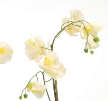 Item #972 Artificial Phalaenopsis Orchids in Black Ceramic Planters