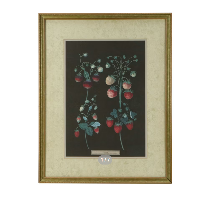 Item #1085 Lithograph of Strawberry Plants Artwork