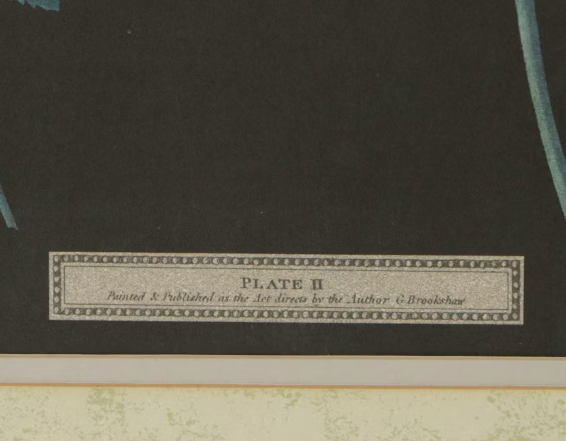 Item #1085 Lithograph of Strawberry Plants Artwork