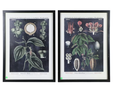 Item #1090 Botanical Giclée Artwork Prints