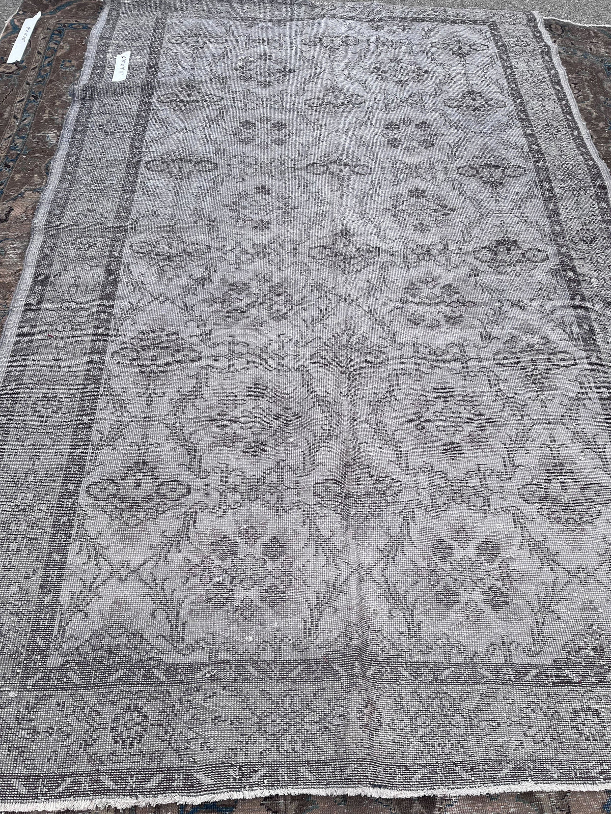 Item #762 6'3 x 9'11 Hand-Knotted Persian Area Rug